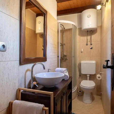 Stone Tea With Pool Villa Posedarje