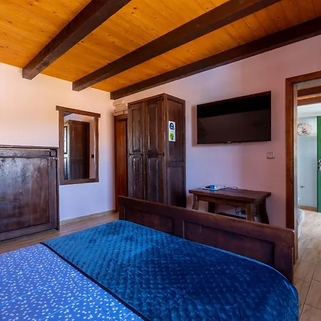 Villa Stone Tea With Pool Posedarje