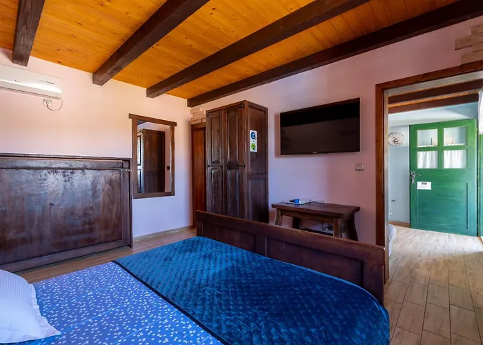 Villa Stone Tea With Pool Posedarje